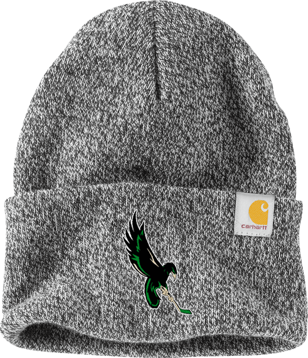 Wilmington Nighthawks Carhartt Watch Cap 2.0