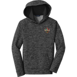 Delaware Ducks Youth PosiCharge Electric Heather Fleece Hooded Pullover